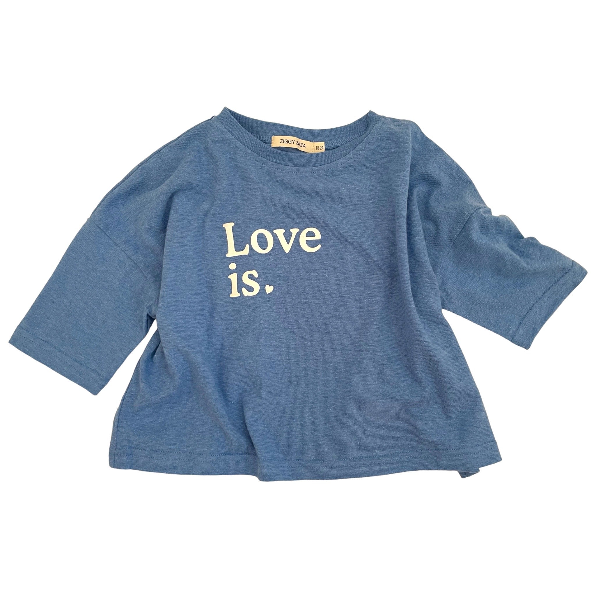 ziggyzaza Tシャツ　ジギーザザ　2-3y ziggyzaza Tシャツジギーザザ2-3y